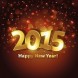 Bonne ann�e !!